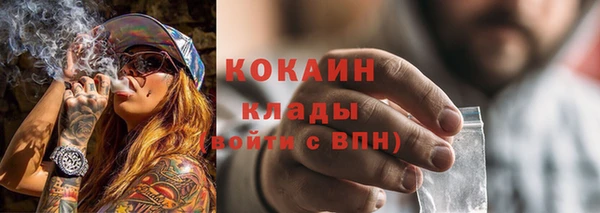 гидра Аркадак