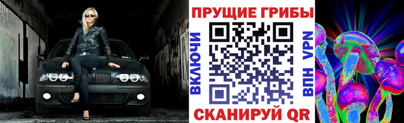 Галлюциногенные грибы ЛСД  hydra ССЫЛКА  Петухово 